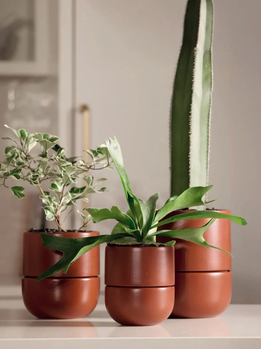 Fable Ceramic Pot, Medium 6.5" (Multiple Colours) - Image 4