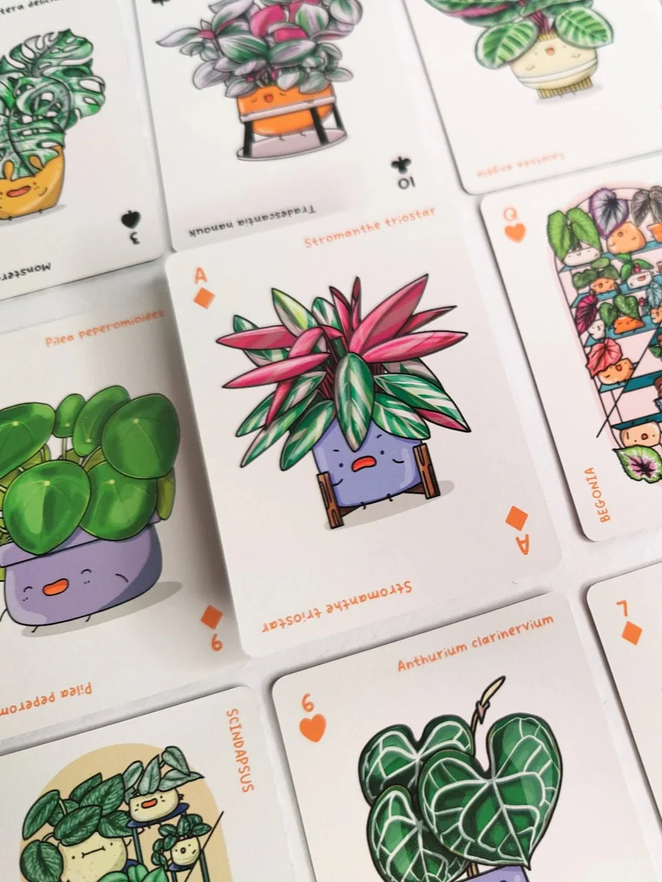 House of Plants Playing Cards - Image 3