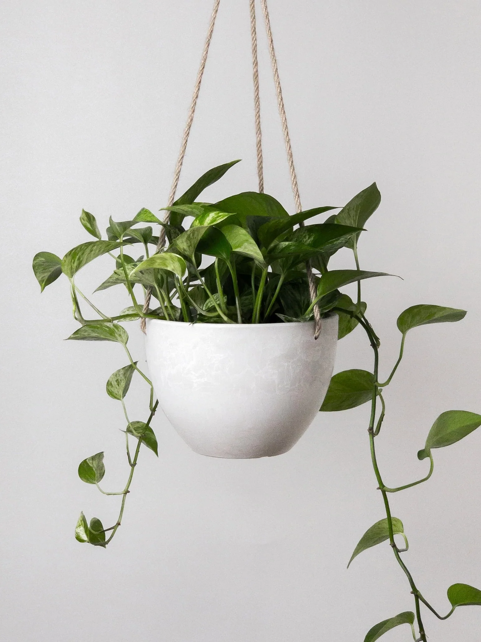 Kanso Recycled Hanging Pot, Medium 7" (Multiple Colours) - Image 3