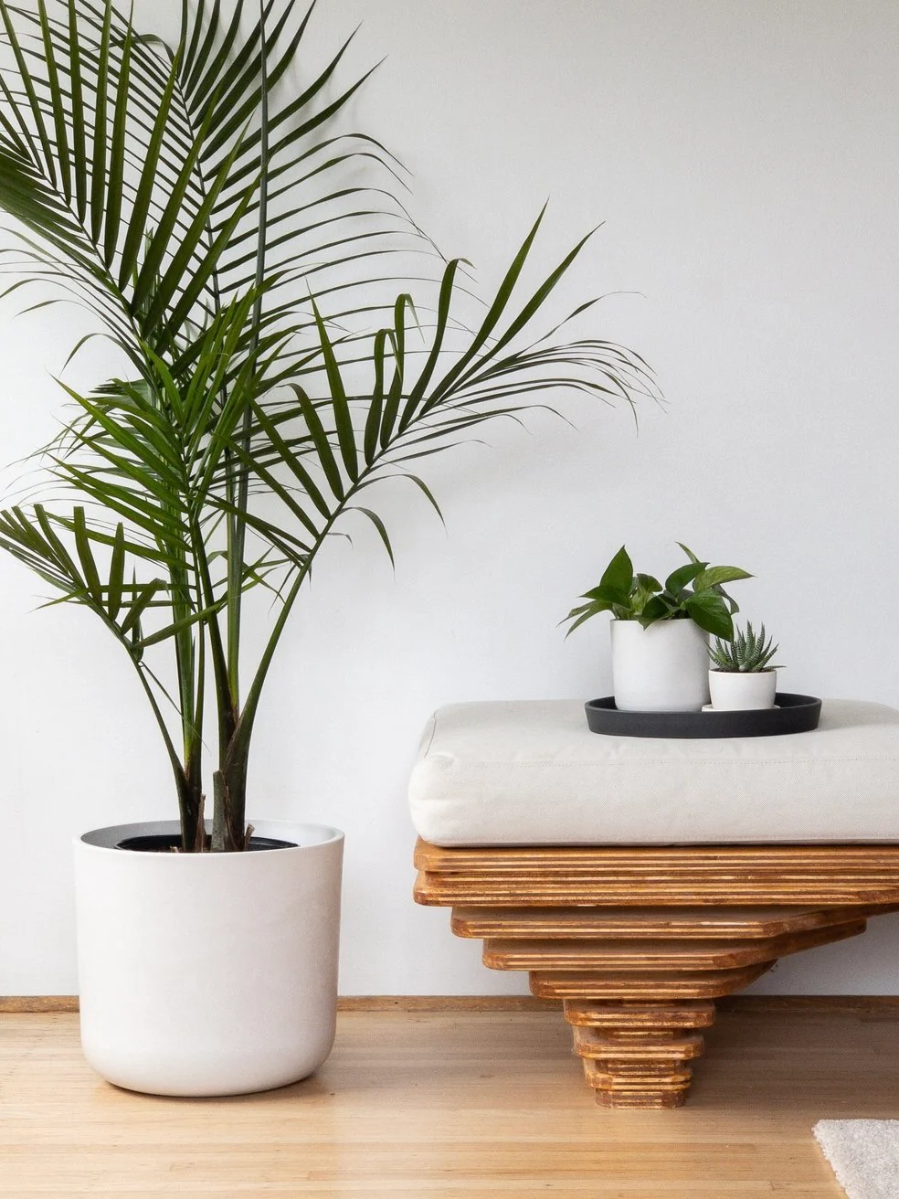 Kanso Recycled Pot, XL 12" (Multiple Colours) - Image 5