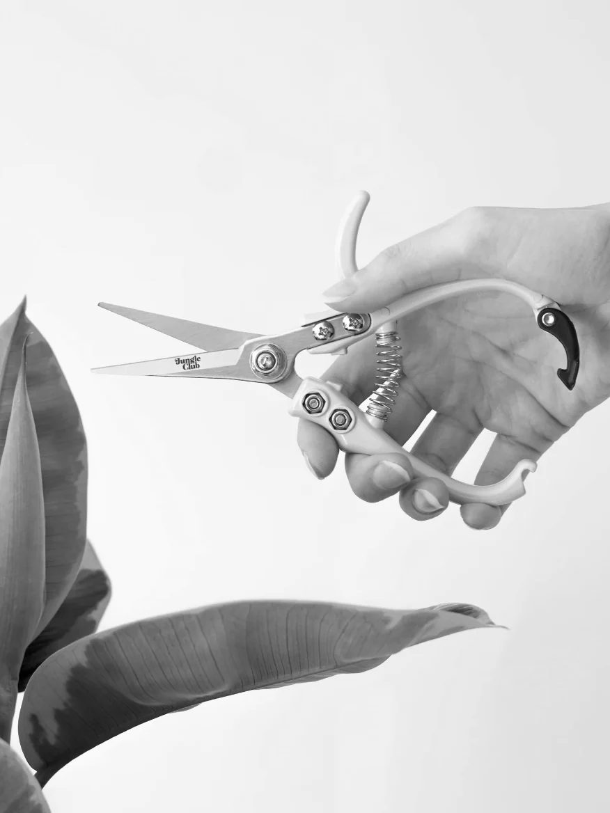 Pruning Shears - Image 3