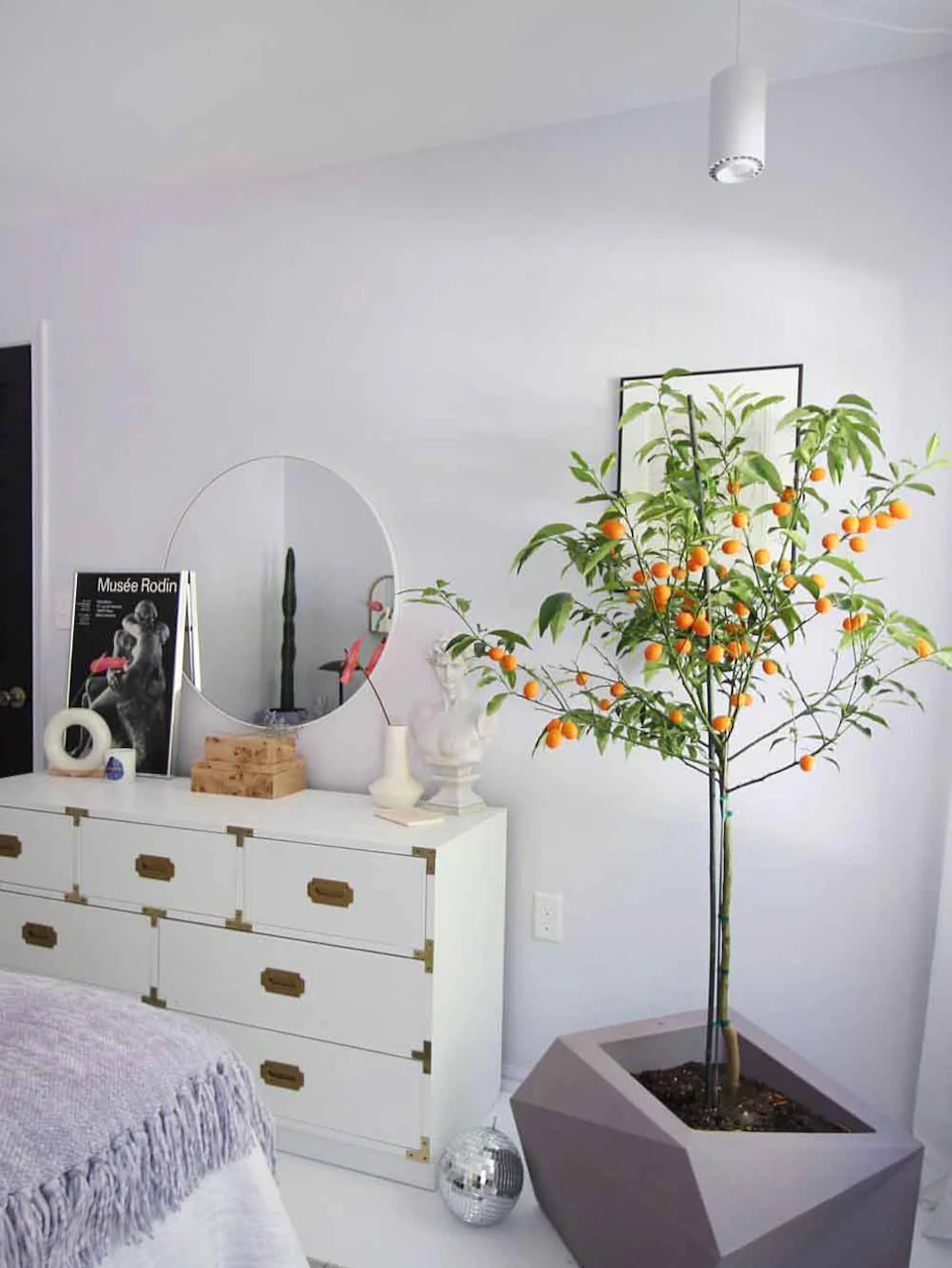 Soltech Aspect Grow Light Fixture (Multiple Colours) - Image 10