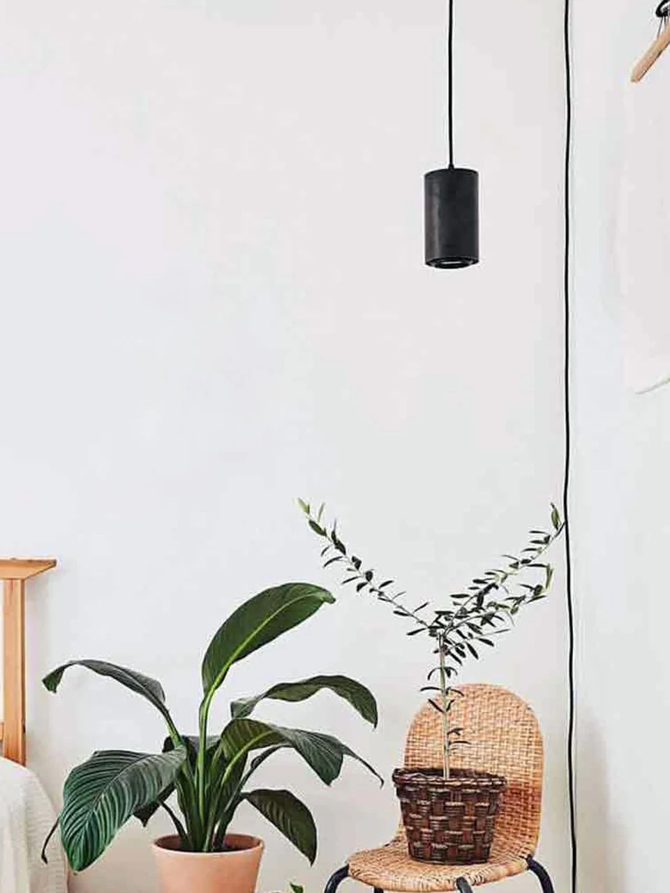 Soltech Aspect Grow Light Fixture (Multiple Colours) - Image 6