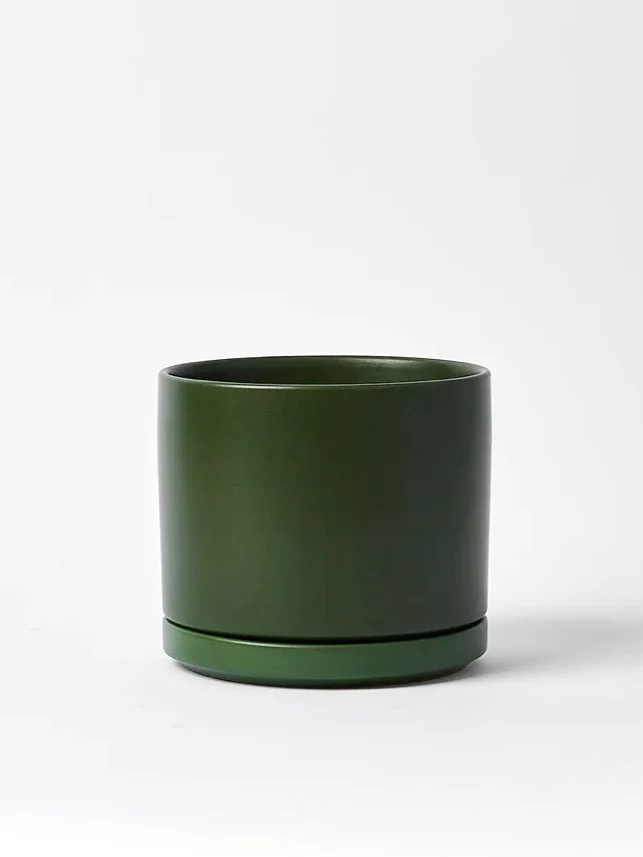 Tobago Ceramic Pot, Large 8" (Multiple Colours) - Image 5