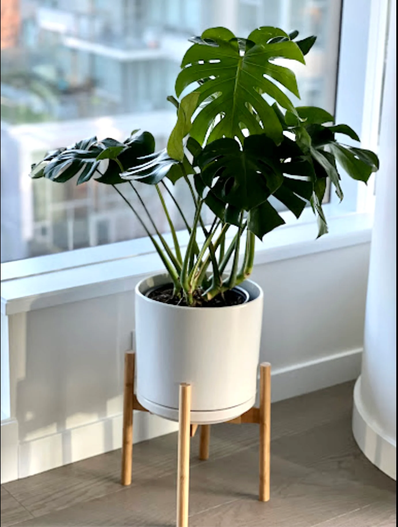 Tobago Ceramic Pot, XL 11" (Multiple Colours) - Image 6