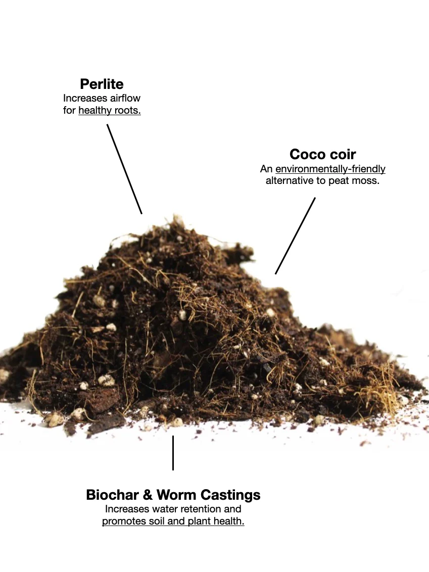 Tropical / General Soil Mix - Image 3