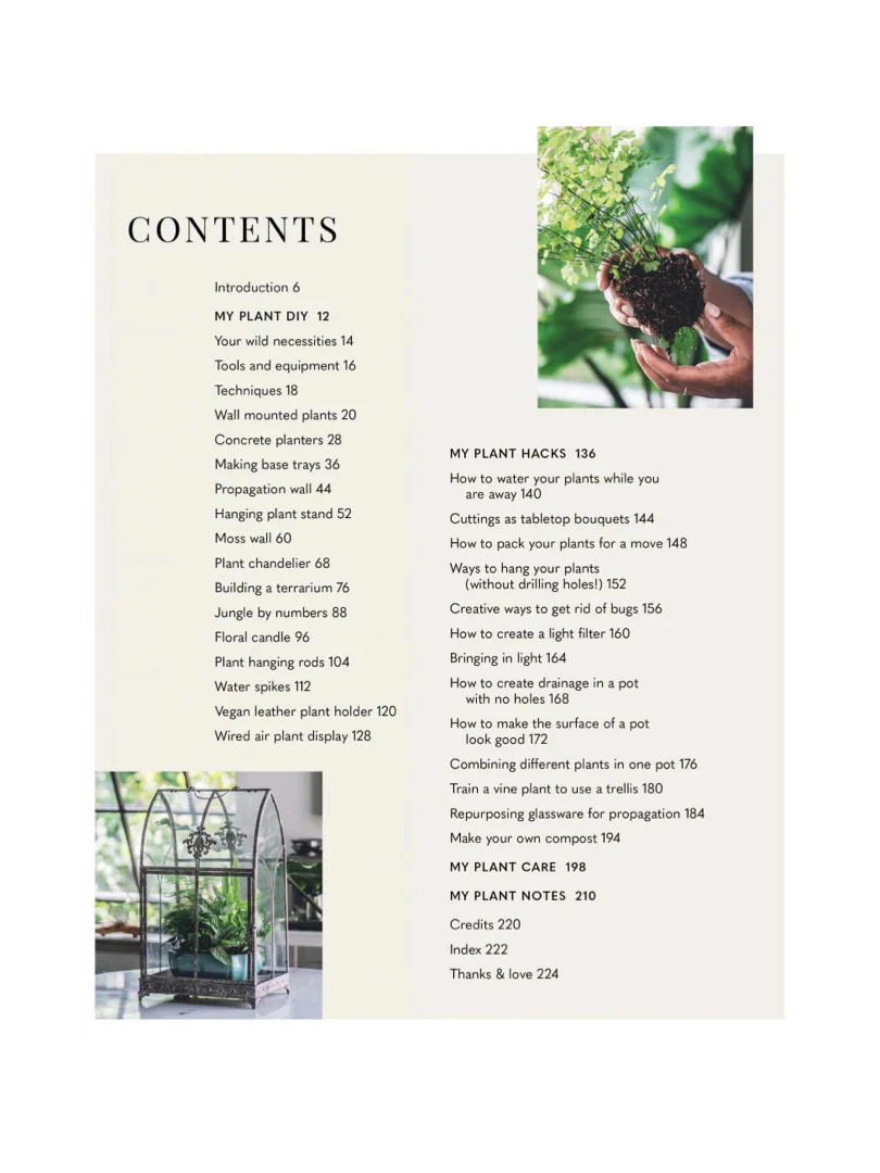 Wild Creations by Hilton Carter - Image 3